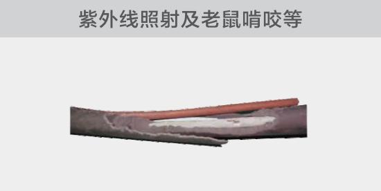 裸露絕緣故障經(jīng)常是由于陽(yáng)光的紫外線(xiàn)輻射或者鼠害造成的損傷